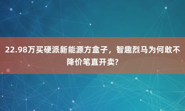 22.98万买硬派新能源方盒子,智趣烈马为何敢不降价笔直开卖?